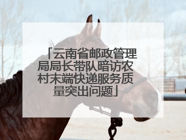 云南省邮政管理局局长带队暗访农村末端快递服务质量突出问题