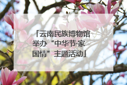 云南民族博物馆举办“中华节·家国情”主题活动