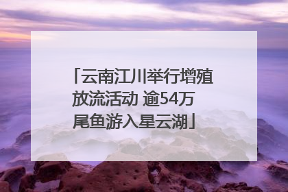 云南江川举行增殖放流活动 逾54万尾鱼游入星云湖