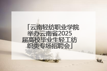 云南轻纺职业学院举办云南省2025届高校毕业生轻工纺织类专场招聘会