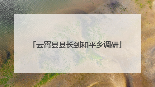 云霄县县长到和平乡调研