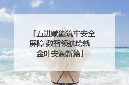五进赋能筑牢安全屏障 数智领航绘就金叶安澜新篇
