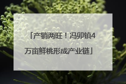 产销两旺！冯卯镇4万亩鲜桃形成产业链