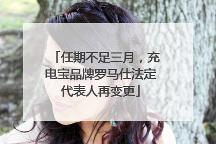 任期不足三月，充电宝品牌罗马仕法定代表人再变更