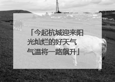 今起杭城迎来阳光灿烂的好天气 气温将一路飙升