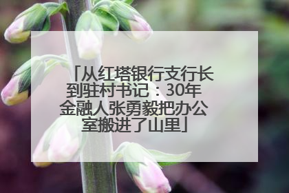 从红塔银行支行长到驻村书记：30年金融人张勇毅把办公室搬进了山里