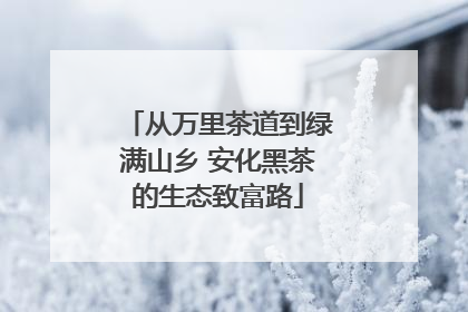 从万里茶道到绿满山乡 安化黑茶的生态致富路