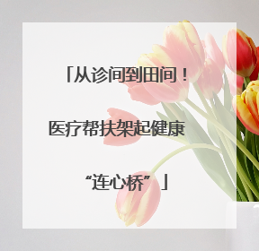 从诊间到田间！医疗帮扶架起健康“连心桥”