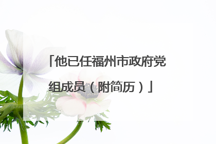 他已任福州市政府党组成员（附简历）