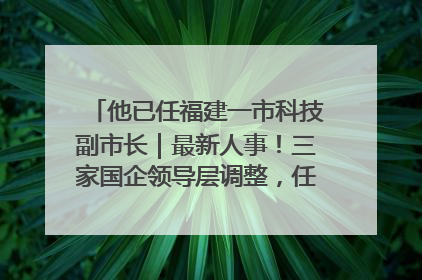 他已任福建一市科技副市长｜最新人事！三家国企领导层调整，任免多位政法系统干部