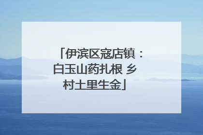 伊滨区寇店镇：白玉山药扎根 乡村土里生金