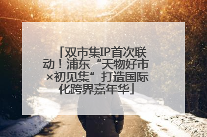 双市集IP首次联动！浦东“天物好市×初见集”打造国际化跨界嘉年华