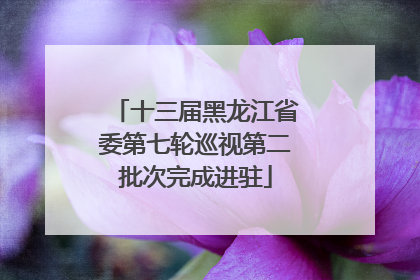 十三届黑龙江省委第七轮巡视第二批次完成进驻