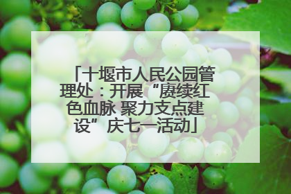 十堰市人民公园管理处：开展“赓续红色血脉 聚力支点建设”庆七一活动