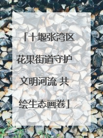 十堰张湾区花果街道守护文明河流 共绘生态画卷