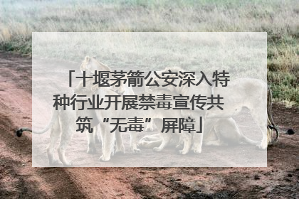 十堰茅箭公安深入特种行业开展禁毒宣传共筑“无毒”屏障