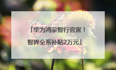 华为鸿蒙智行官宣！智界全系补贴2万元