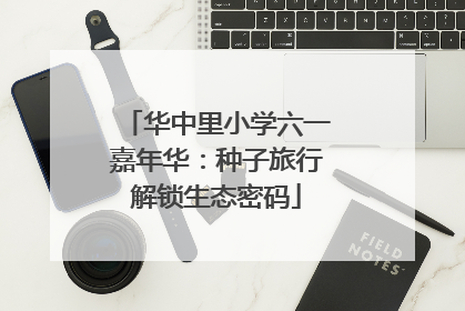 华中里小学六一嘉年华：种子旅行解锁生态密码