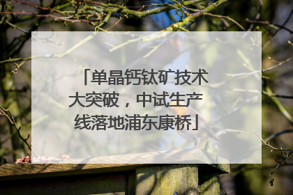 单晶钙钛矿技术大突破，中试生产线落地浦东康桥
