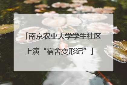 南京农业大学学生社区上演“宿舍变形记”