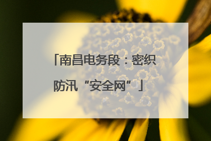 南昌电务段：密织防汛“安全网”