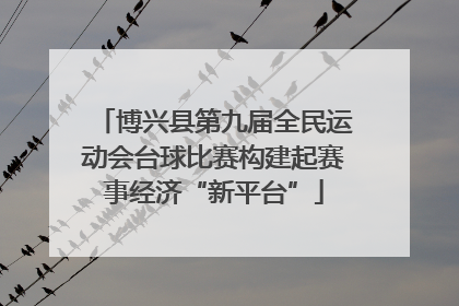博兴县第九届全民运动会台球比赛构建起赛事经济“新平台”