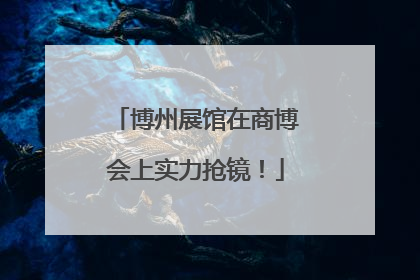 博州展馆在商博会上实力抢镜！