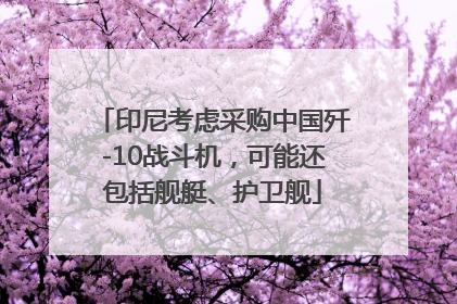 印尼考虑采购中国歼-10战斗机，可能还包括舰艇、护卫舰
