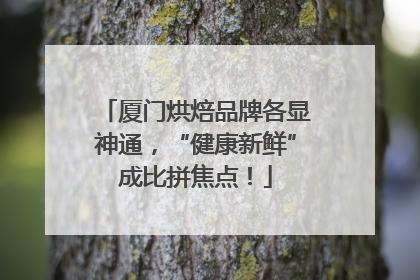 厦门烘焙品牌各显神通，“健康新鲜”成比拼焦点！