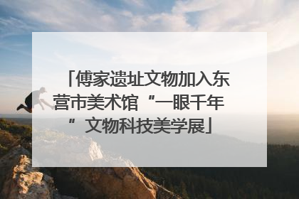 傅家遗址文物加入东营市美术馆“一眼千年”文物科技美学展