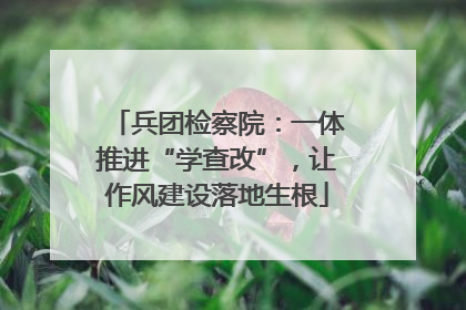 兵团检察院：一体推进“学查改”，让作风建设落地生根