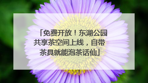 免费开放！东湖公园共享茶空间上线，自带茶具就能泡茶话仙