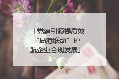 党建引领提质效 “局港联动”护航企业合规发展