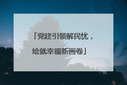 党建引领解民忧，绘就幸福新画卷