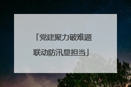 党建聚力破难题 联动防汛显担当