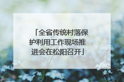 全省传统村落保护利用工作现场推进会在松阳召开