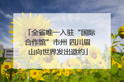 全省唯一入驻“国际合作馆”市州 四川眉山向世界发出邀约