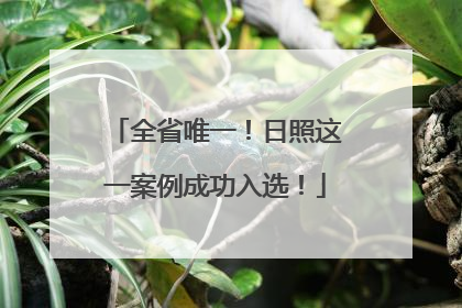 全省唯一！日照这一案例成功入选！