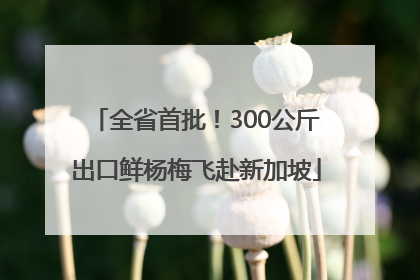 全省首批！300公斤出口鲜杨梅飞赴新加坡
