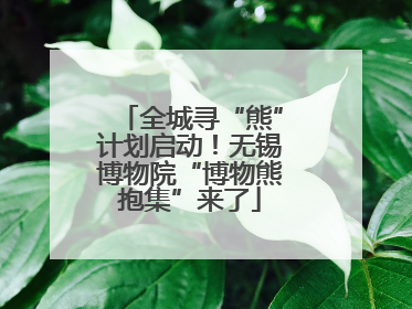 全城寻“熊”计划启动！无锡博物院“博物熊抱集”来了