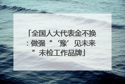 全国人大代表金不换：做强“‘豫’见未来”未检工作品牌
