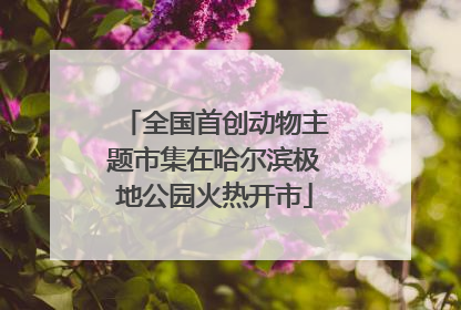 全国首创动物主题市集在哈尔滨极地公园火热开市