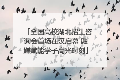 全国高校湖北招生咨询会首场在汉启幕 融媒赋能学子高光时刻