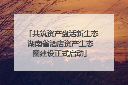 共筑资产盘活新生态 湖南省酒店资产生态圈建设正式启动