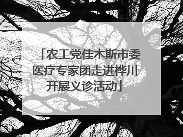 农工党佳木斯市委医疗专家团走进桦川开展义诊活动