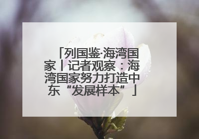 列国鉴·海湾国家丨记者观察：海湾国家努力打造中东“发展样本”