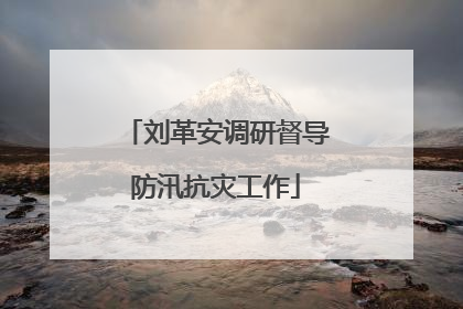 刘革安调研督导防汛抗灾工作