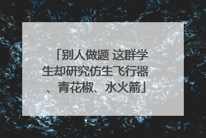 别人做题 这群学生却研究仿生飞行器、青花椒、水火箭