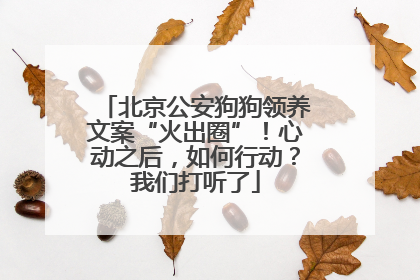 北京公安狗狗领养文案“火出圈”！心动之后，如何行动？我们打听了