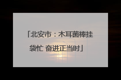 北安市：木耳菌棒挂袋忙 奋进正当时